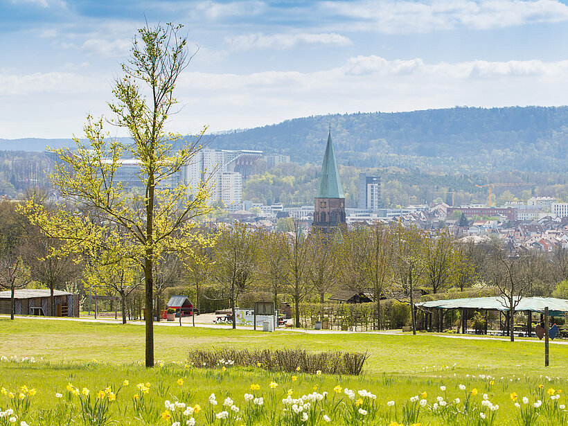 Grünfläche in Gartenschau mit Blick auf die Stadt Kaiserslautern