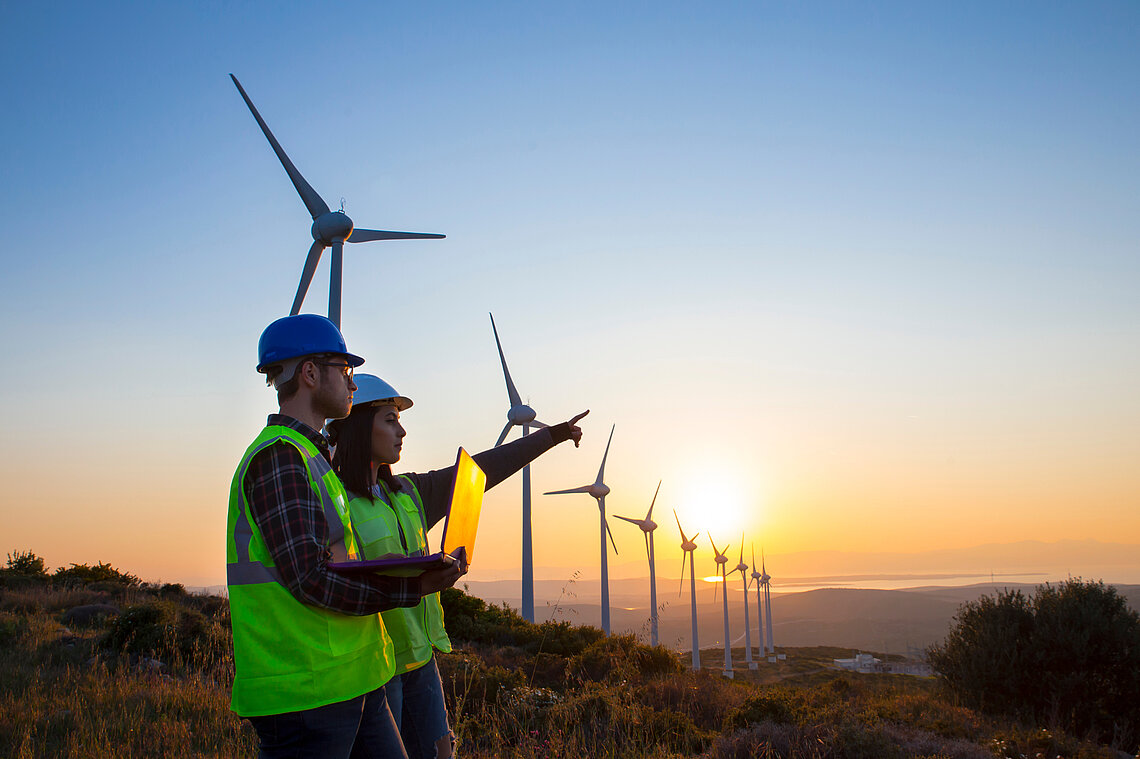 Personen in Schutzweste und Schutzhelm schauen auf Landschaft daneben Windräder