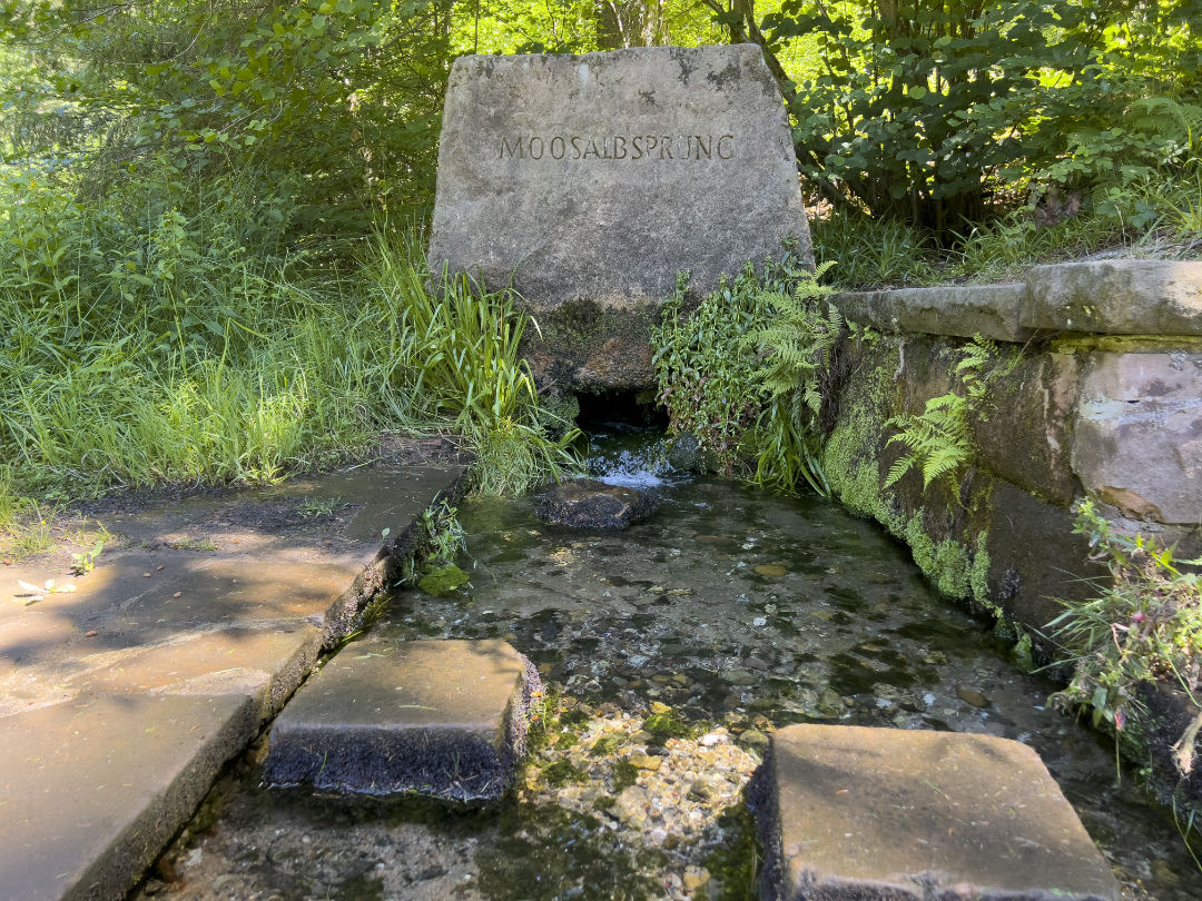 Wald und Bach auf Fels Aufschrift Moosalbsprung